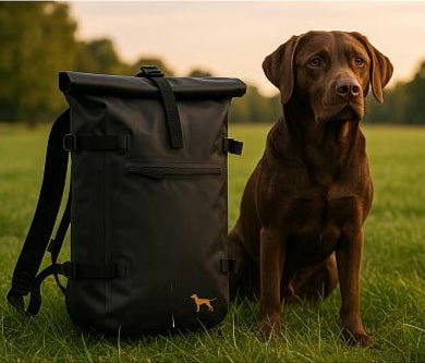 PAWROLL PACK - schwarz - www.Worldofdogs.store