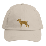 Drahthaar Kappe - www.Worldofdogs.store