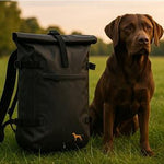PAWROLL PACK - schwarz - www.Worldofdogs.store