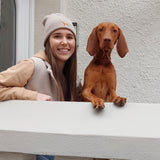 Sherpa Weste - www.Worldofdogs.store