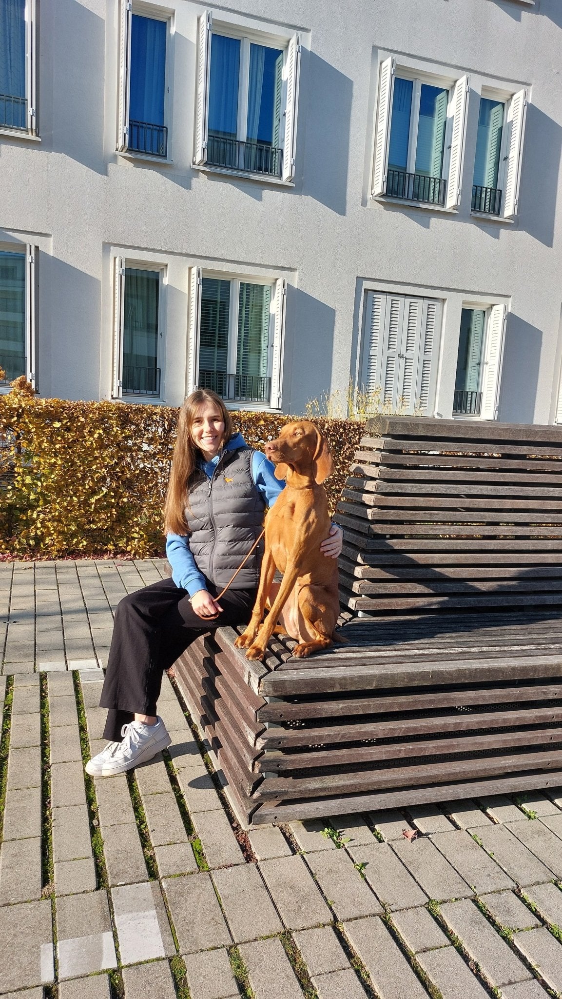 Unisex Vizsla HOODIE | Biobaumwolle - www.Worldofdogs.store