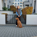 Unisex Vizsla HOODIE | Biobaumwolle - www.Worldofdogs.store