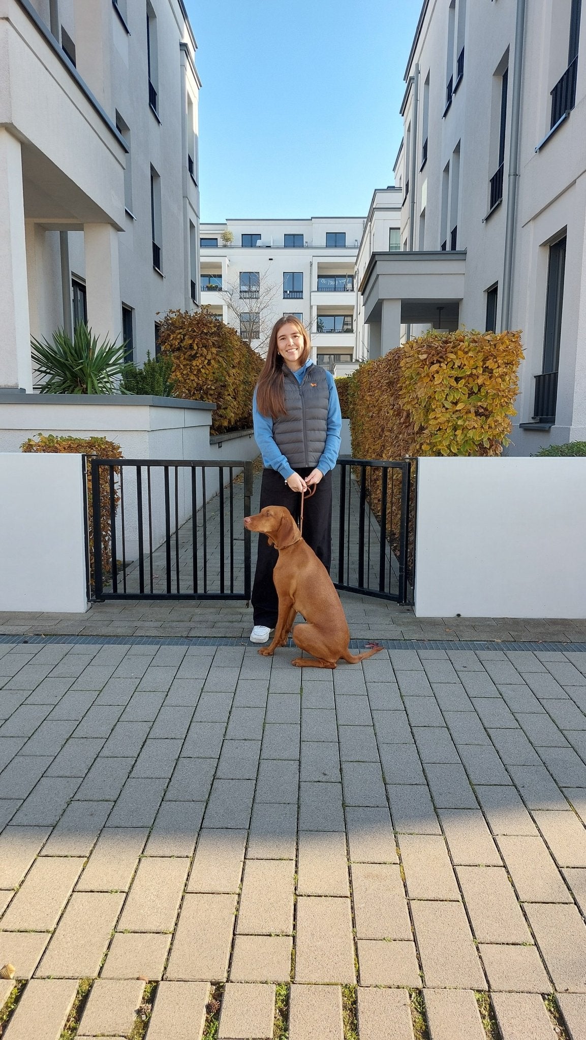 Unisex Vizsla HOODIE | Biobaumwolle - www.Worldofdogs.store