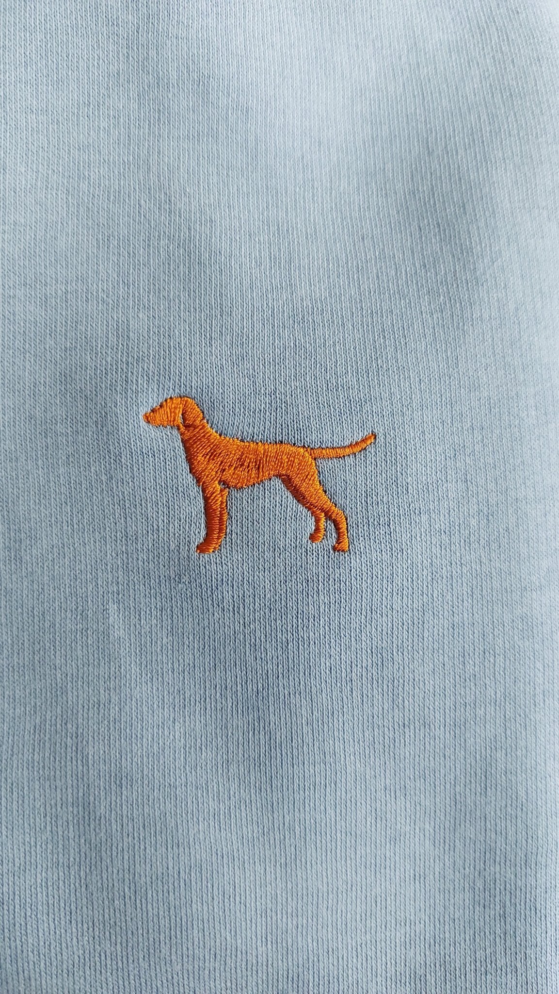 Vizsla , Jaghunde HOODIE - Blau | Biobaumwolle - www.Worldofdogs.store