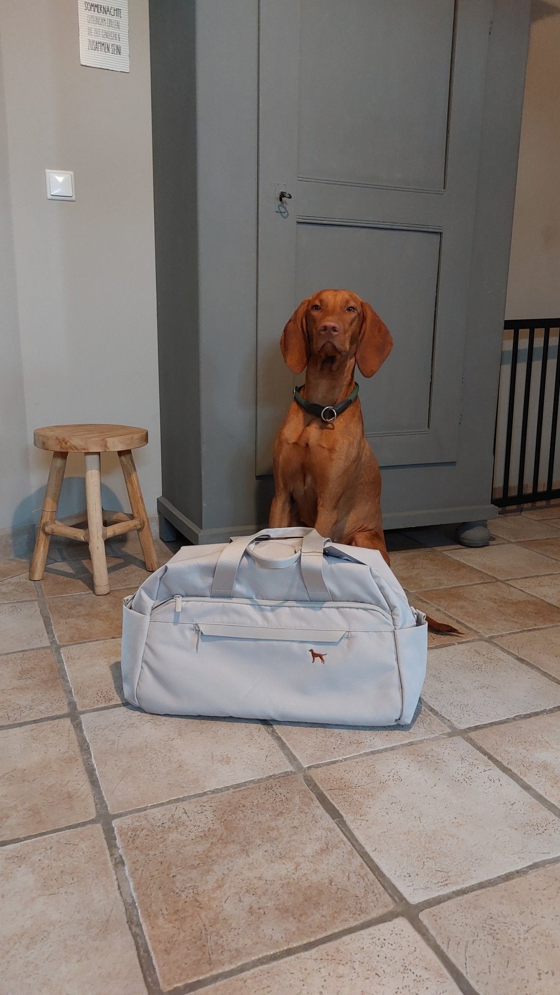 WEEKENDER TASCHE - www.Worldofdogs.store